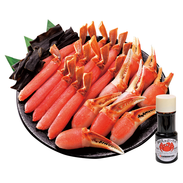 DyI 킢IԃZbg (12-K)